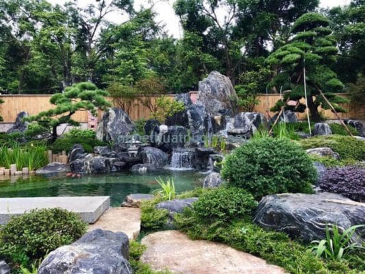 mau hon non bo biet thu dai canh vach da tu nhien va cay tung