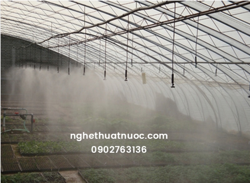 Dịch Vụ Lắp Đặt Hệ Thống Phun Sương Làm Mát Chuyên Nghiệp tại TP.HCM Lắp đặt hệ thống phun sương làm mát cho nhà màng và vườn rau chuyên nghiệp